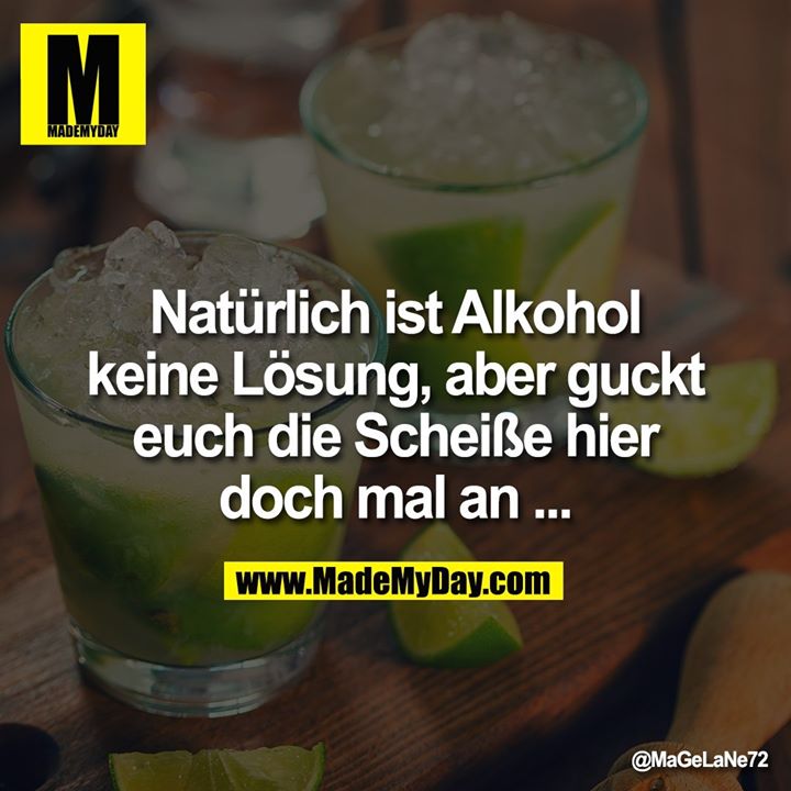Natürlich ist Alkohol keine Lösung, aber guckt euch die Scheiße hier doch mal an ...