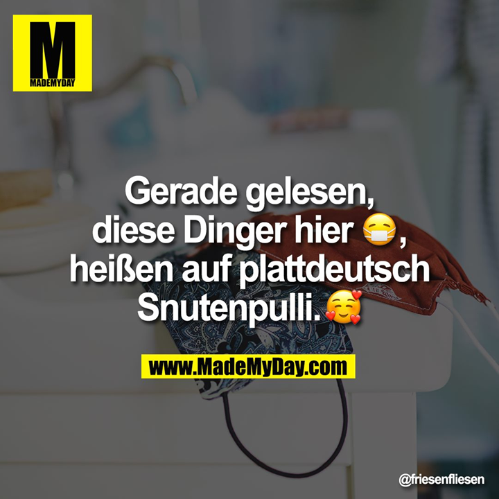 Gerade gelesen, diese Dinger hier �, heißen auf plattdeutsch Snutenpulli. �