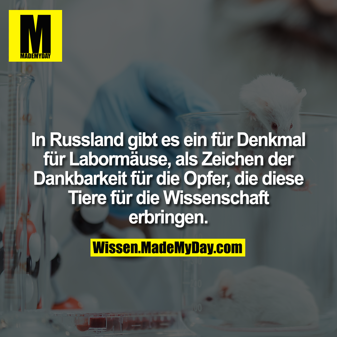 In Russland gibt es ein für Denkmal für Labormäuse, als Zeichen der<br />
Dankbarkeit für die Opfer, die diese Tiere für die Wissenschaft erbringen.