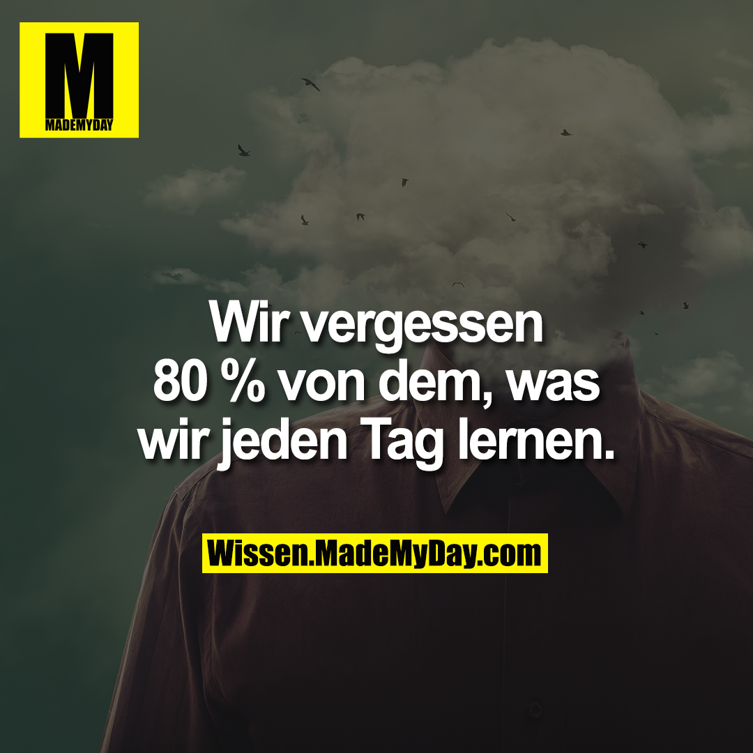 Wir vergessen 80 % von dem, was wir jeden Tag lernen.