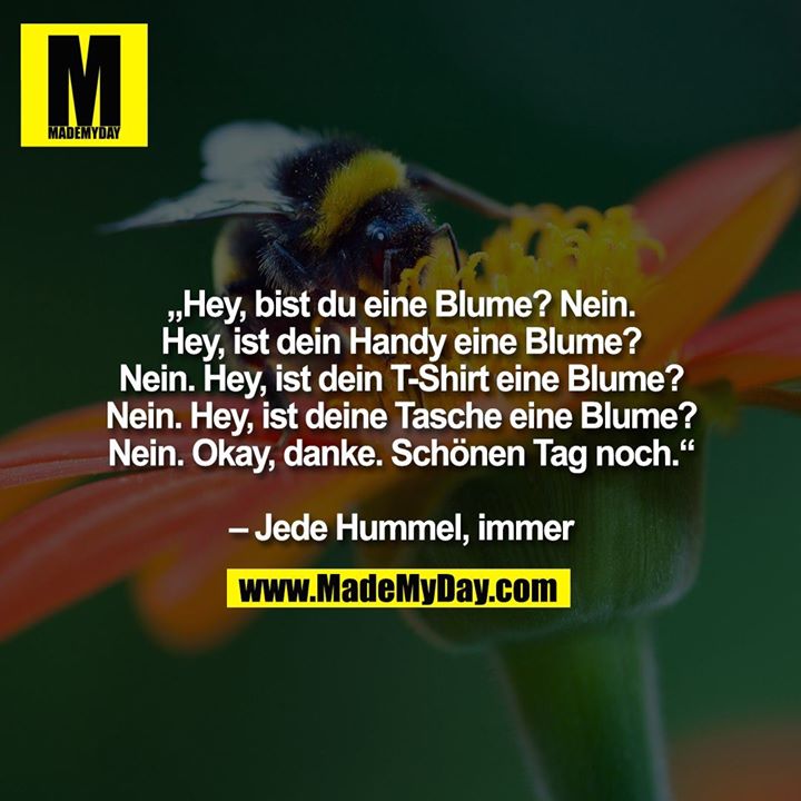 „Hey, bist du eine Blume? Nein. Hey, ist dein Handy eine Blume? Nein. Hey, ist dein T-Shirt eine Blume? Nein. Hey, ist deine Tasche eine Blume? Nein. Okay, danke. Schönen Tag noch.“<br />
<br />
– Jede Hummel, immer