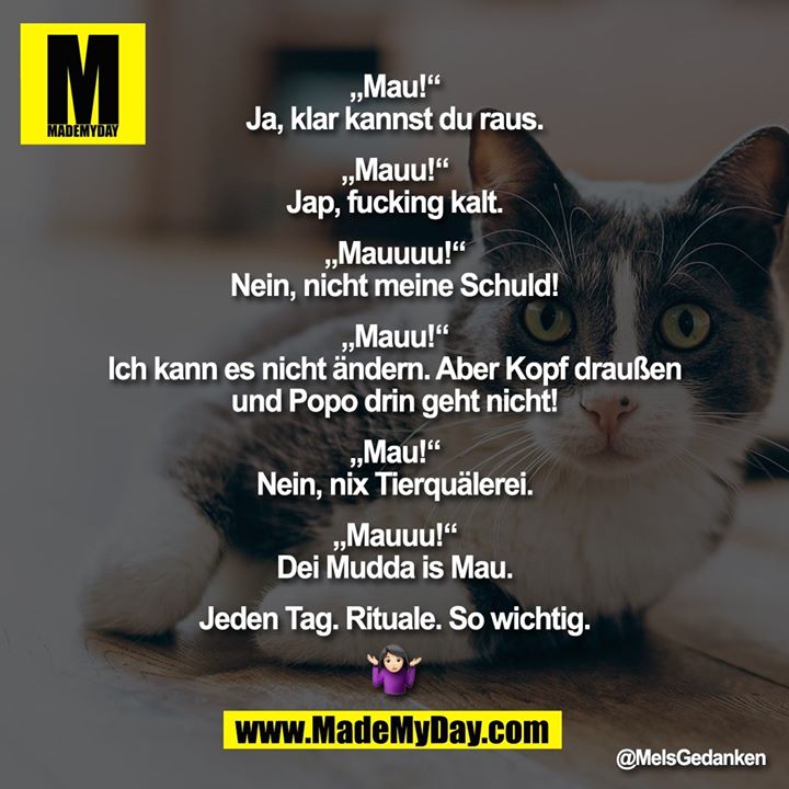 „Mau!“<br />
„Ja, klar kannst du raus.“<br />
„Mauu!“<br />
„Jap, fucking kalt.“<br />
„Mauuuu!“<br />
„Nein, nicht meine Schuld!“<br />
„Mauu!“<br />
„Ich kann es nicht ändern. Aber Kopf draußen und Popo drin geht nicht!“<br />
„Mau!“<br />
„Nein, nix Tierquälerei.“<br />
„Mauuu!“<br />
„Dei Mudda is Mau.“<br />
<br />
Jeden Tag. Rituale. So wichtig. �