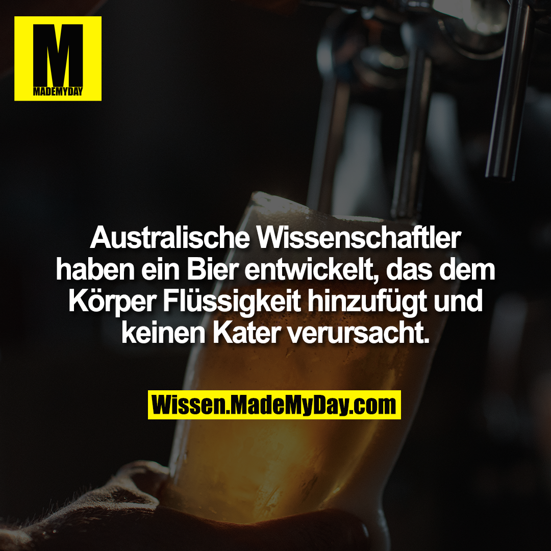 Australische Wissenschaftler haben ein Bier entwickelt, das dem Körper Flüssigkeit hinzufügt und keinen Kater verursacht.
