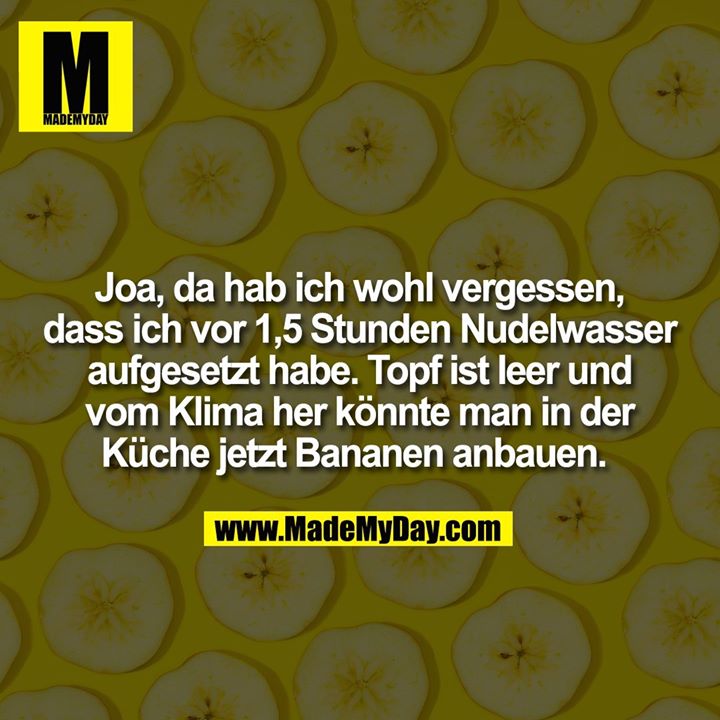 Joa, da hab ich wohl vergessen, dass ich vor 1,5 Stunden Nudelwasser aufgesetzt habe. Topf ist leer und vom Klima her könnte man in der Küche jetzt Bananen anbauen.