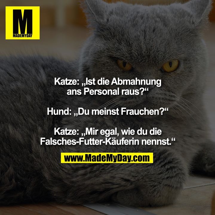 Katze: „Ist die Abmahnung ans Personal raus?“ <br />
<br />
Hund: „Du meinst Frauchen?“ <br />
<br />
Katze: „Mir egal, wie du die Falsches-Futter-Käuferin nennst.“
