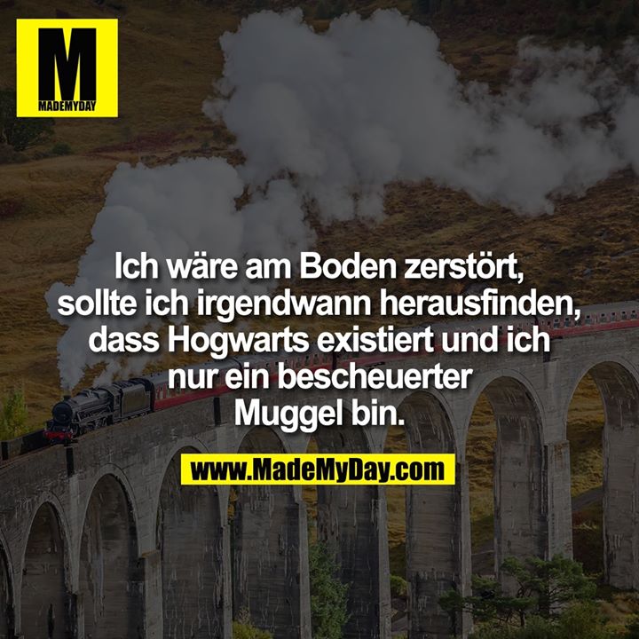 Ich wäre am Boden zerstört, sollte ich irgendwann herausfinden, dass Hogwarts existiert und ich nur ein bescheuerter Muggel bin.