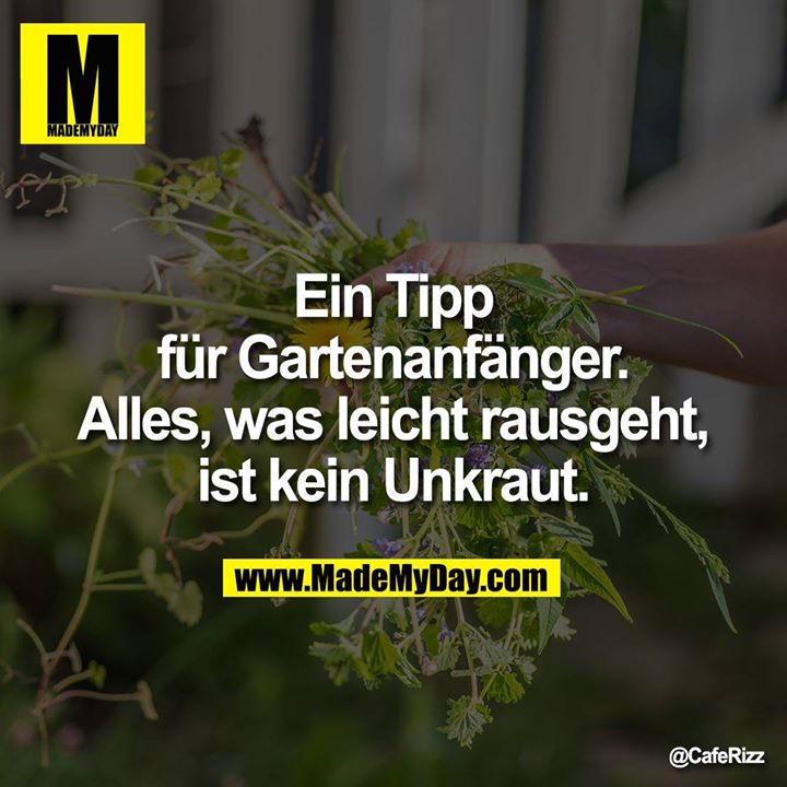 Ein Tipp für Gartenanfänger. Alles, was leicht rausgeht, ist kein Unkraut.