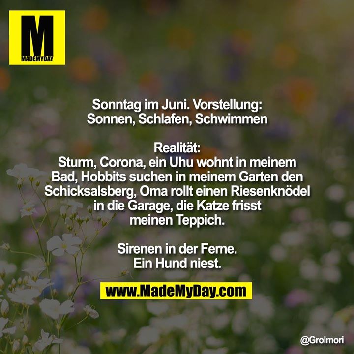 Sonntag im Juni. Vorstellung:<br />
Sonnen, Schlafen, Schwimmen<br />
<br />
Realität:<br />
Sturm, Corona, ein Uhu wohnt in meinem Bad, Hobbits suchen in meinem Garten den Schicksalsberg, Oma rollt einen Riesenknödel in die Garage, die Katze frisst meinen Teppich<br />
<br />
Sirenen in der Ferne.<br />
Ein Hund niest.