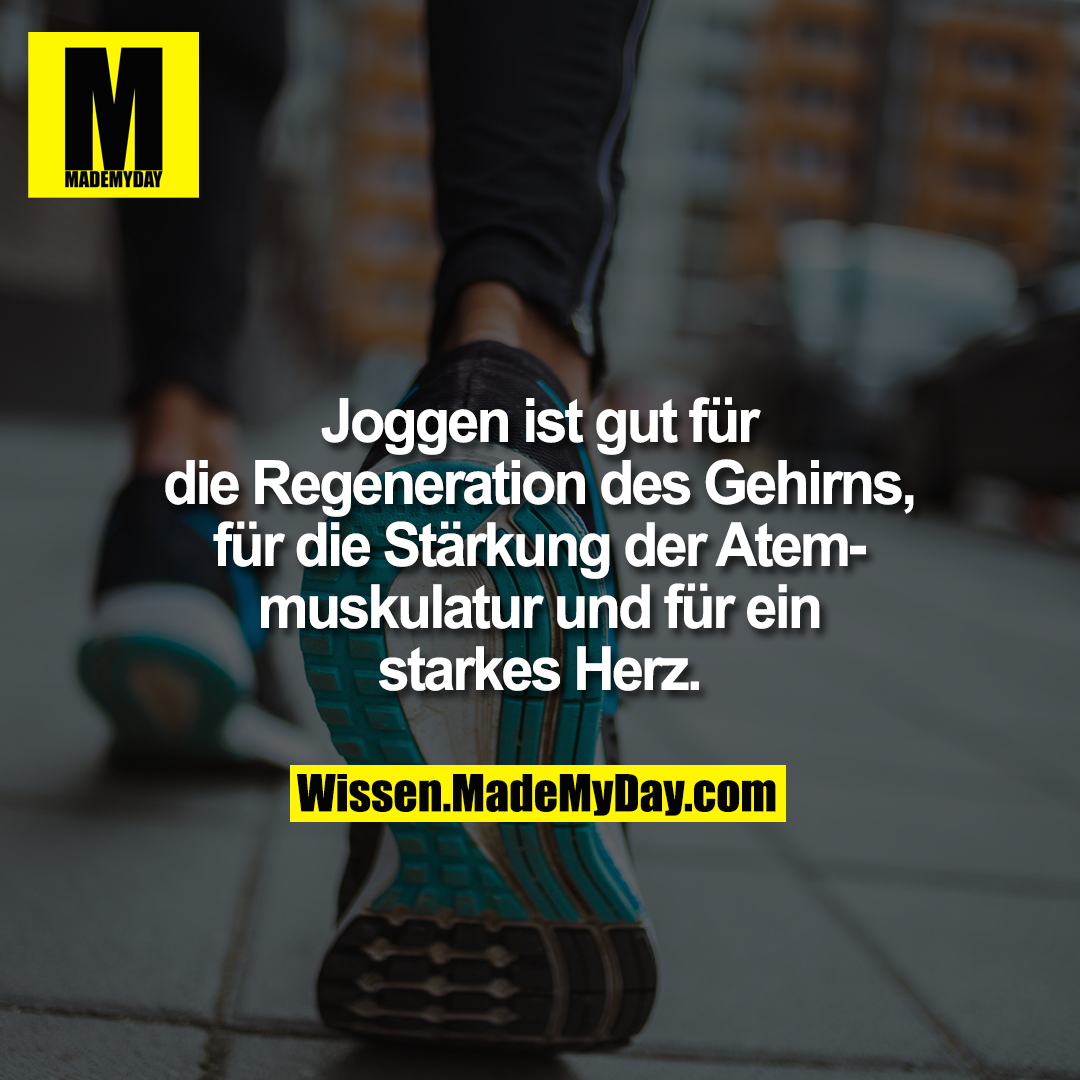 Joggen ist gut für die Regeneration des Gehirns, für die Stärkung der Atemmuskulatur und für ein starkes Herz.