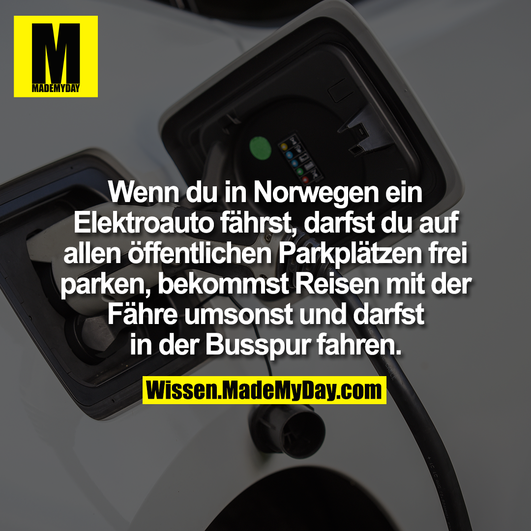 Wenn du in Norwegen ein Elektroauto fährst, darfst du auf allen öffentlichen Parkplätzen frei parken, bekommst Reisen mit der Fähre umsonst und darfst in der Busspur fahren.