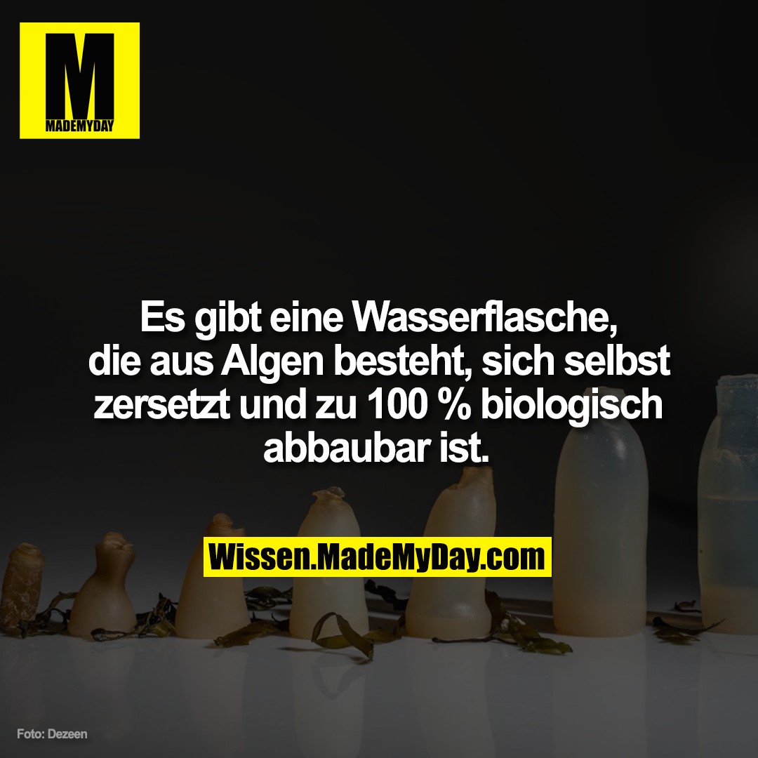 Es gibt eine Wasserflasche, die aus Algen besteht, sich selbst zersetzt und zu 100 % biologisch abbaubar ist.