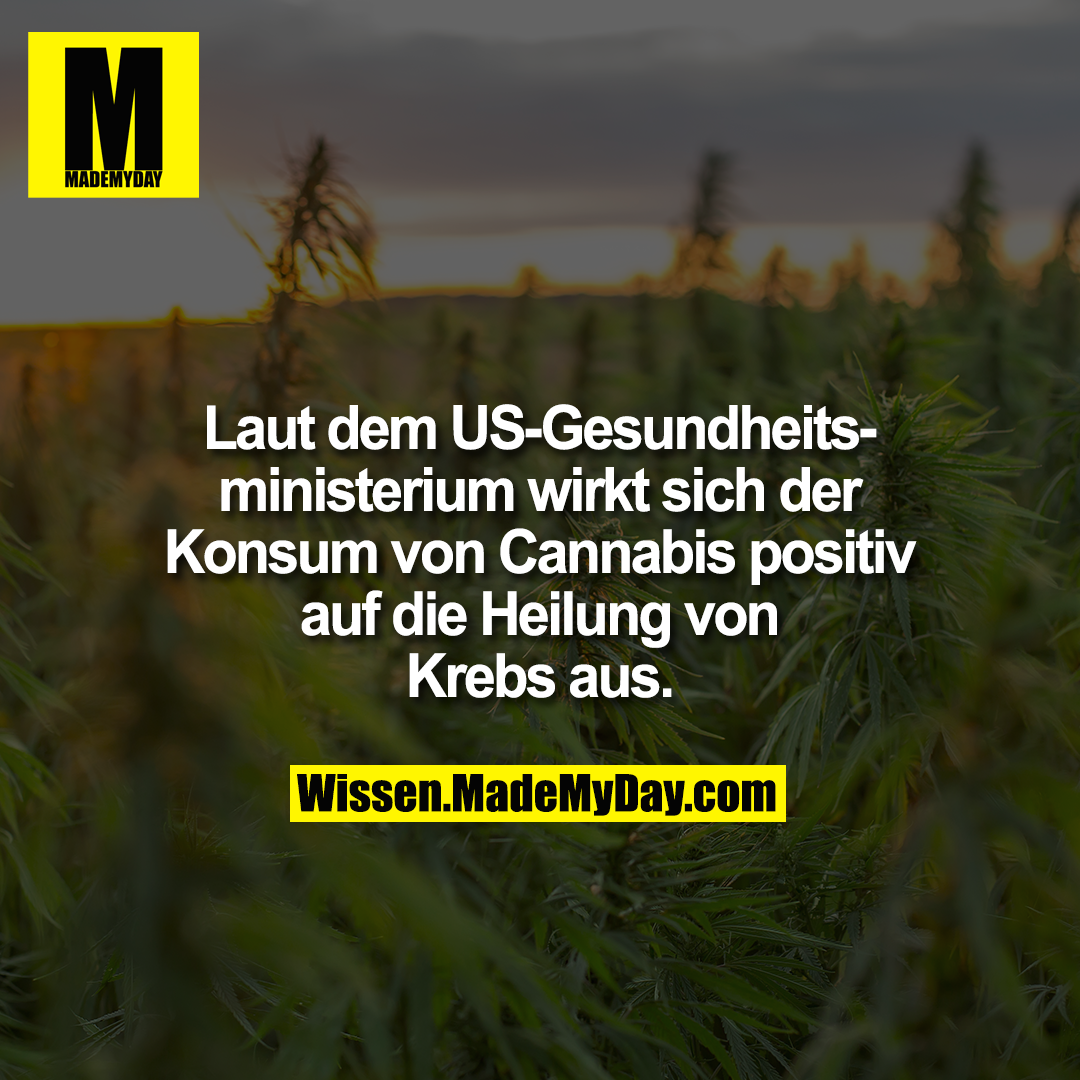 Laut dem US-Gesundheitsministerium wirkt sich der Konsum von Cannabis positiv auf die Heilung von Krebs aus.