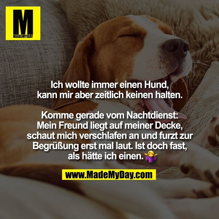 Ich wollte immer einen Hund, kann mir aber zeitlich keinen halten. Komme gerade vom Nachtdienst: Mein Freund liegt auf meiner Decke, schaut mich verschlafen an und furzt zur Begrüßung erst mal laut. Ist doch fast, als hätte ich einen. �