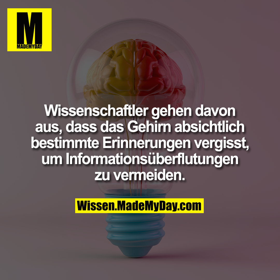 Wissenschaftler gehen davon aus, dass das Gehirn absichtlich bestimmte Erinnerungen vergisst, um Informationsüberflutungen zu vermeiden.