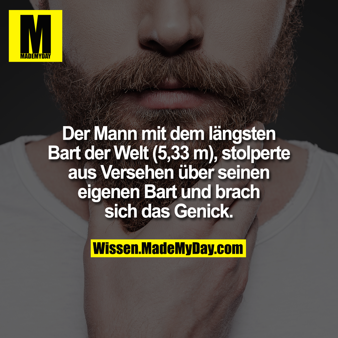 Der Mann mit dem längsten Bart der Welt (5,33 m), stolperte aus Versehen über seinen eigenen Bart und brach sich das Genick.