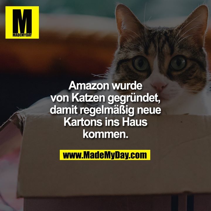 Amazon Wurde Von Katzen Gegrundet Made My Day
