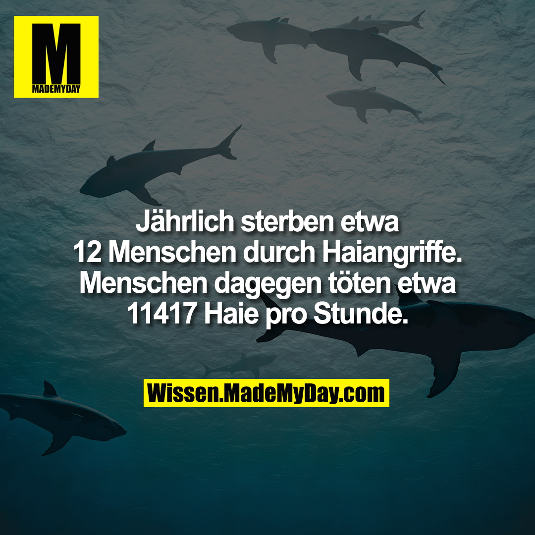 Jährlich sterben etwa 12 Menschen durch Haiangriffe. Menschen dagegen töten etwa 11417 Haie pro Stunde.