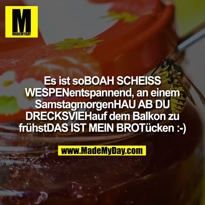 Es ist soBOAH SCHEISS WESPENentspannend, an einem SamstagmorgenHAU AB DU DRECKSVIEHauf dem Balkon zu frühstDAS IST MEIN BROTücken :-)