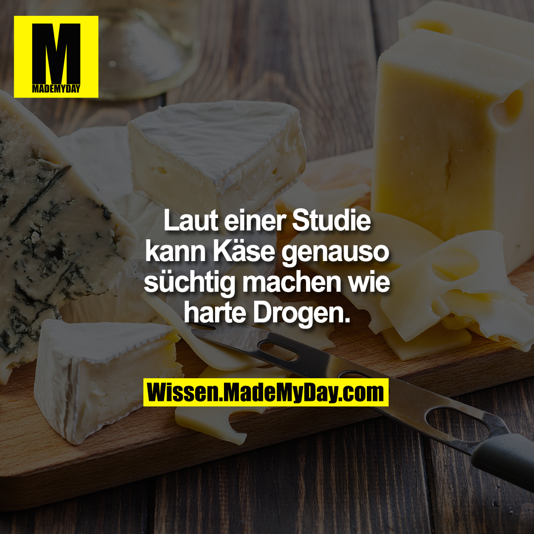 Laut einer Studie kann Käse genauso süchtig machen wie harte Drogen.