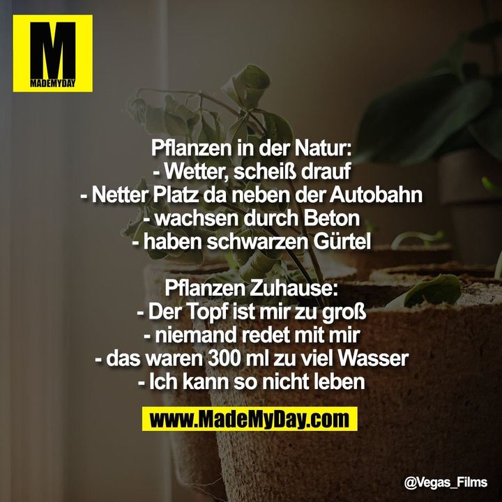 Pflanzen in der Natur:<br />
- Wetter scheiß drauf<br />
- Netter Platz da neben der Autobahn<br />
- wachsen durch Beton<br />
- haben schwarzen Gürtel<br />
<br />
Pflanzen Zuhause:<br />
- Der Topf ist mir zu groß<br />
- niemand redet mit mir<br />
- das waren 300 ml zu viel Wasser<br />
- Ich kann so nicht leben