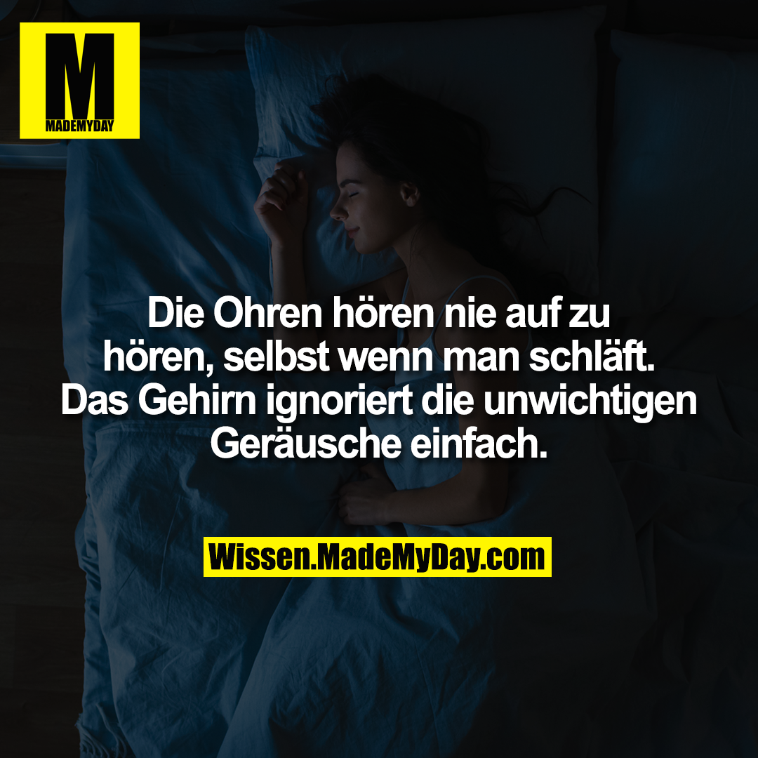 Die Ohren hören nie auf zu hören, selbst wenn man schläft. Das Gehirn ignoriert die unwichtigen Geräusche einfach.