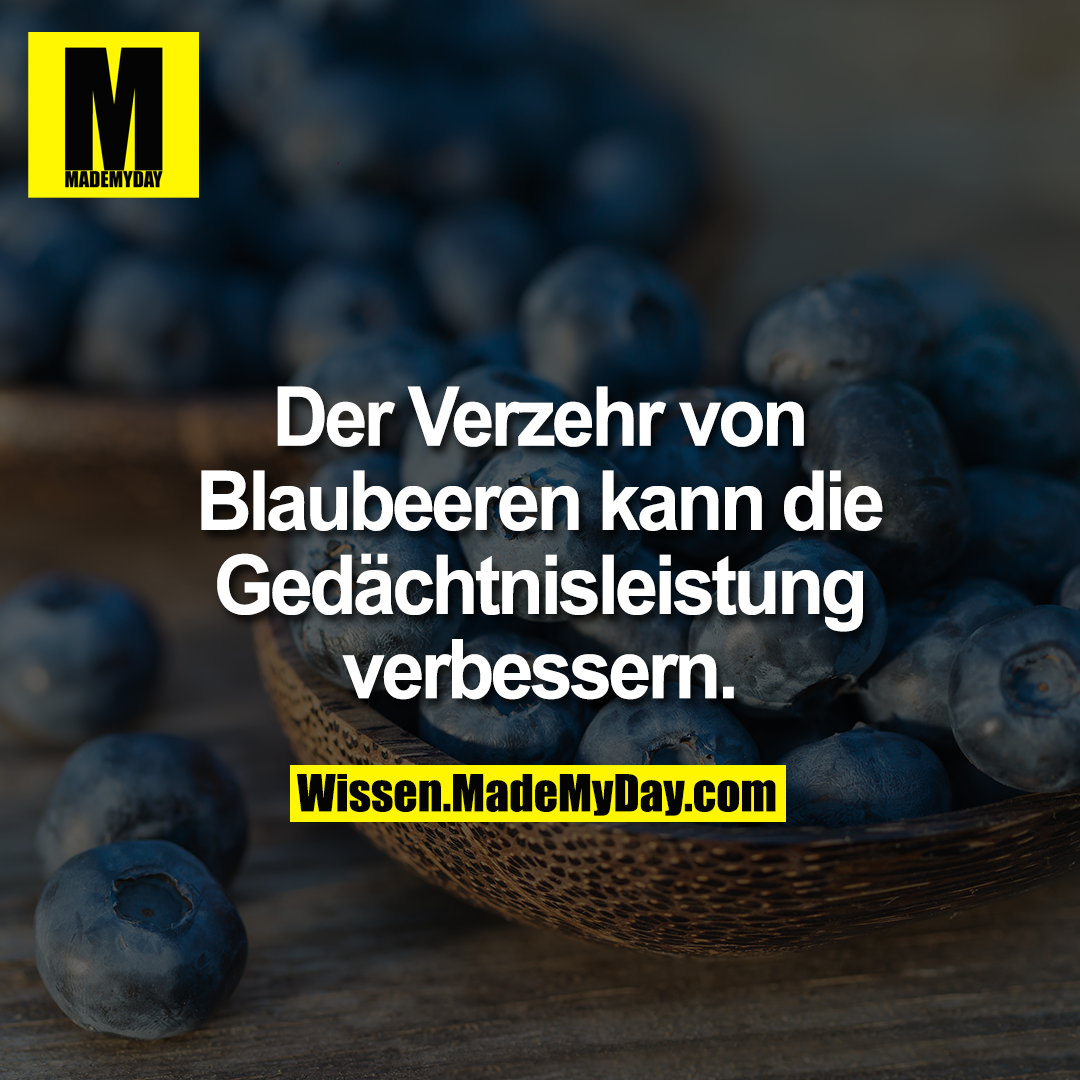 Der Verzehr von Blaubeeren kann die Gedächtnisleistung verbessern.