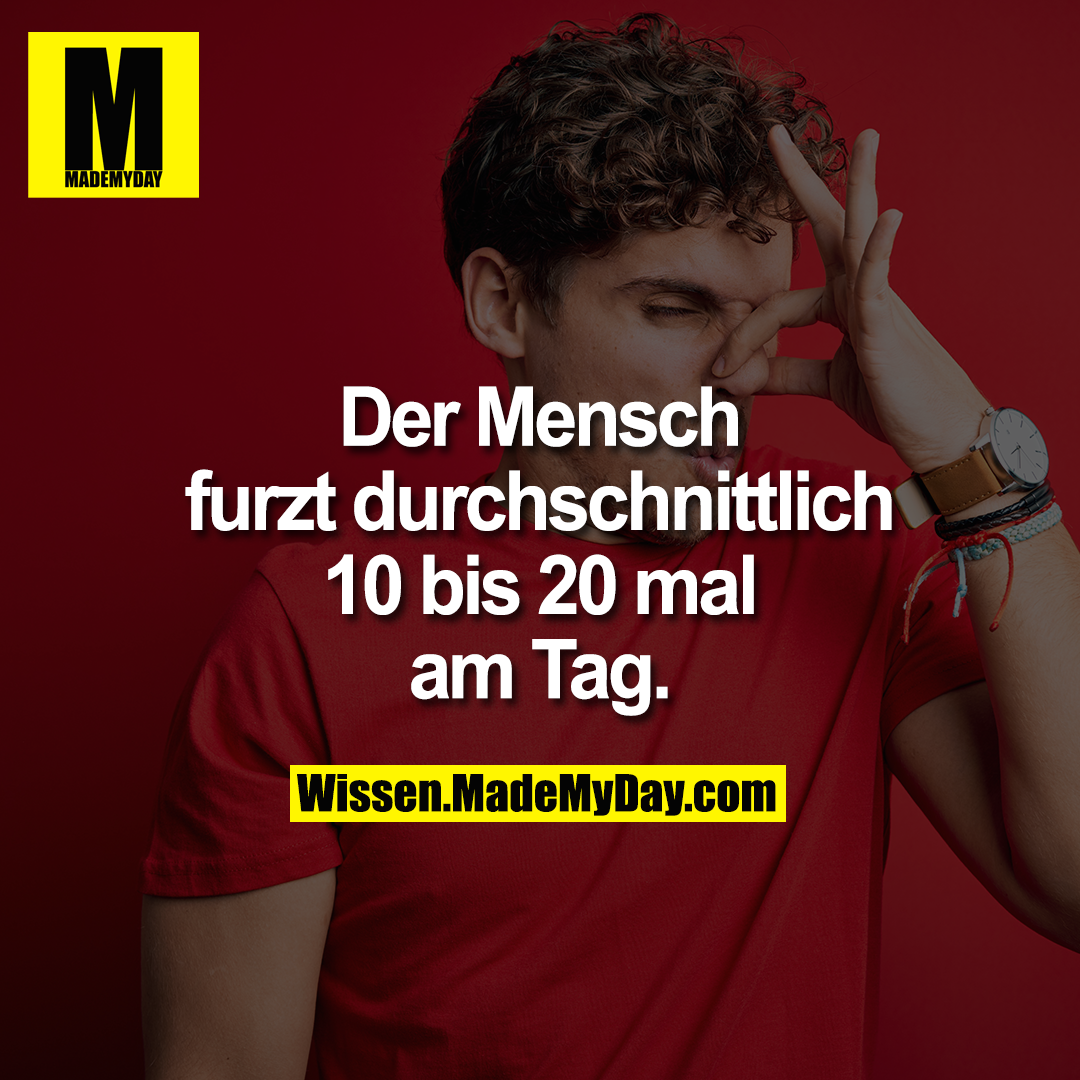 Der Mensch furzt durchschnittlich 10 bis 20 mal am Tag.