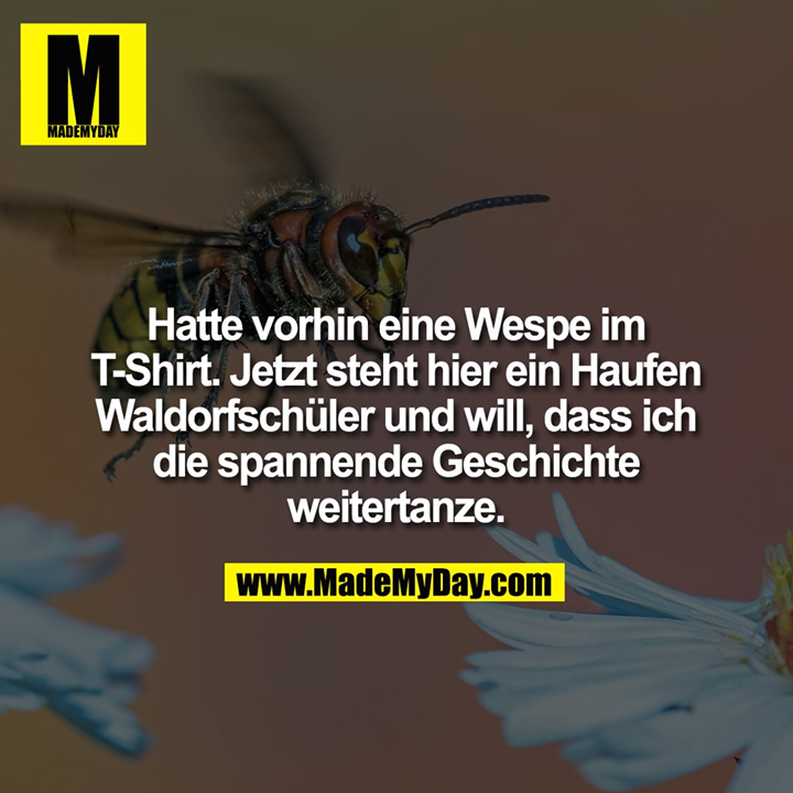 Hatte vorhin eine Wespe im T-Shirt. Jetzt steht hier ein Haufen Waldorfschüler und will, dass ich die spannende Geschichte weitertanze.