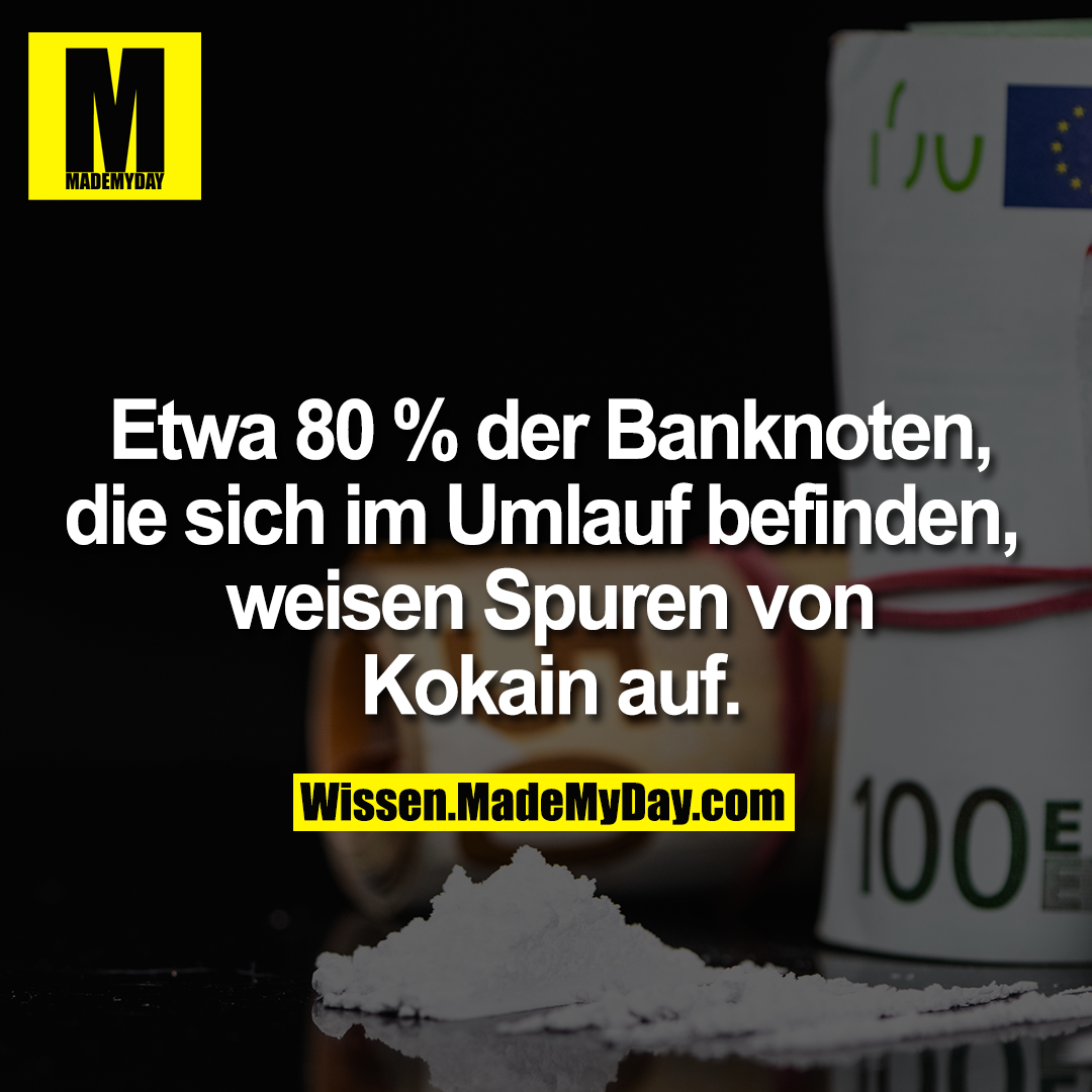 Etwa 80 % der Banknoten, die sich im Umlauf befinden, weisen Spuren von Kokain auf.