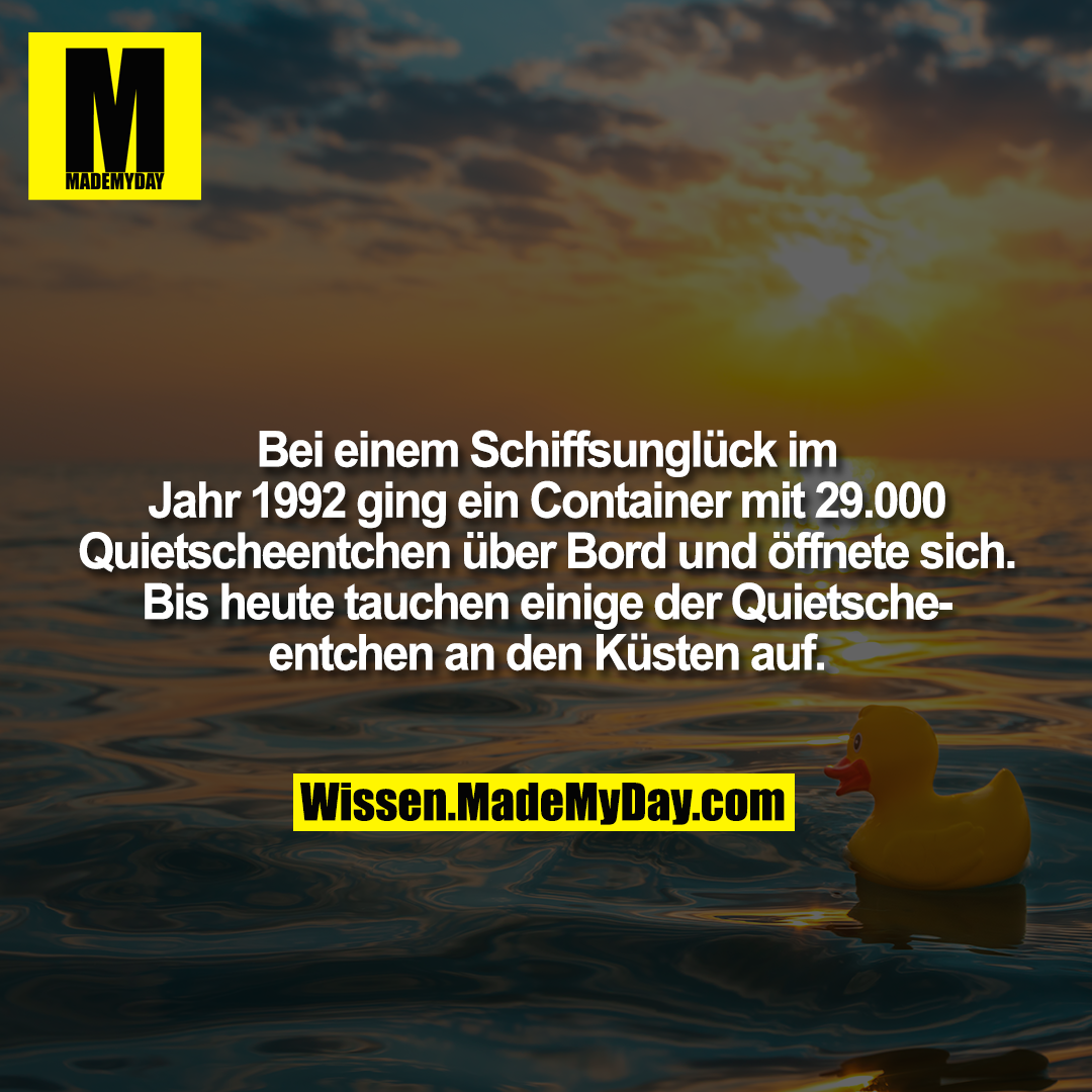 Bei einem Schiffsunglück im Jahr 1992 ging ein Container mit 29.000 Quietscheentchen über Bord und öffnete sich. Bis heute tauchen einige der Quietscheentchen an den Küsten auf.