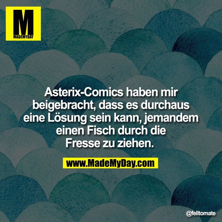 Asterix-Comics haben mir beigebracht, dass es durchaus eine Lösung sein kann, jemandem einen Fisch durch die Fresse zu ziehen.