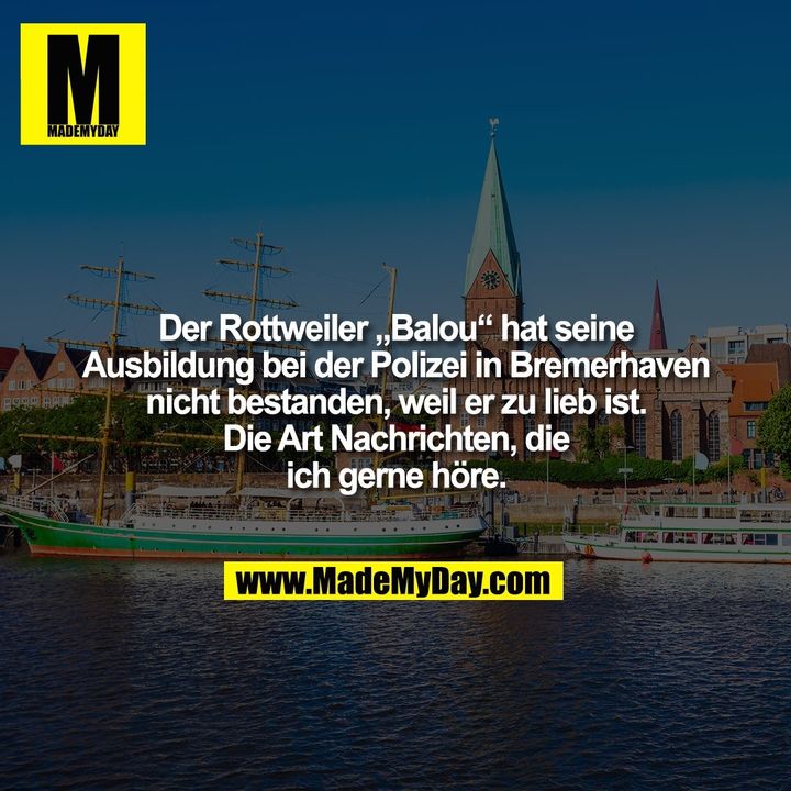 Der Rottweiler „Balou“ hat seine<br />
Ausbildung bei der Polizei in Bremerhaven<br />
nicht bestanden, weil er zu lieb ist.<br />
Die Art Nachrichten, die<br />
ich gerne höre.