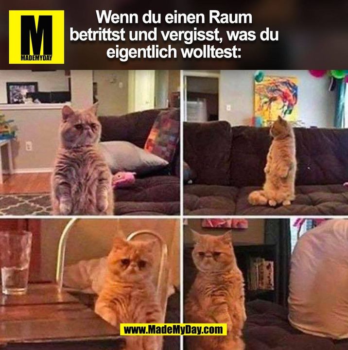 Wenn du einen Raum<br />
betrittst und vergisst, was du<br />
eigentlich wolltest: (BILD)