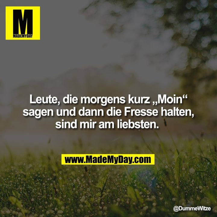 Leute, die morgens kurz „Moin“ sagen und dann die Fresse halten, sind mir am liebsten.