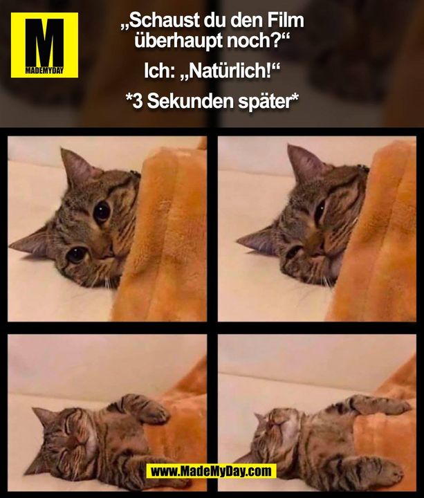 „Schaust du den Film<br />
überhaupt noch?“<br />
<br />
Ich: „Natürlich!“<br />
<br />
*3 Sekunden später* (BILD)