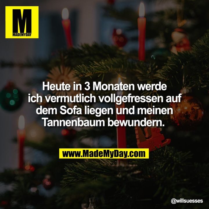 Heute in 3 Monaten werde ich vermutlich vollgefressen auf dem Sofa liegen und meinen Tannenbaum bewundern.