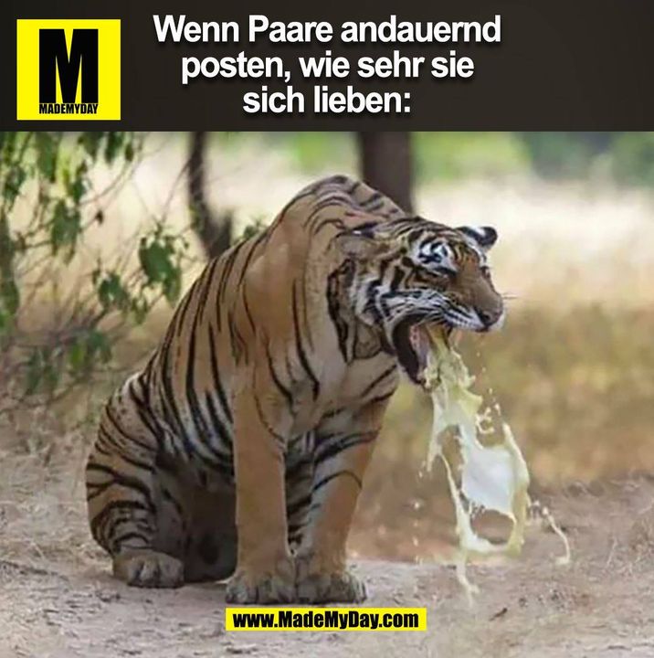 Wenn Paare andauernd<br />
posten, wie sehr sie<br />
sich lieben: (BILD)