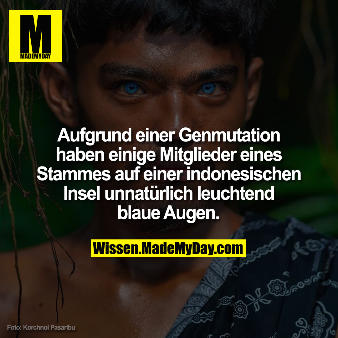 Aufgrund einer Genmutation haben einige Mitglieder eines Stammes auf einer indonesischen Insel unnatürlich leuchtend blaue Augen.
