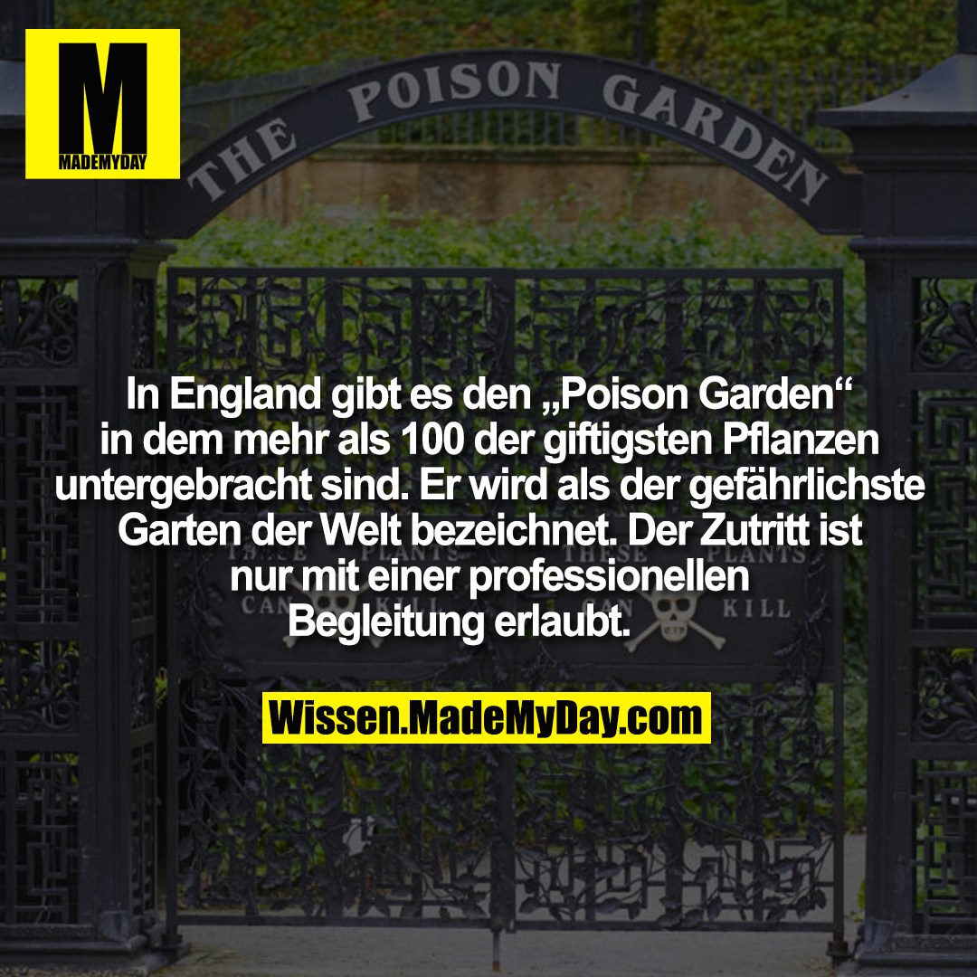 In England gibt es den „Poison Garden“ in dem mehr als 100 der giftigsten Pflanzen untergebracht sind. Er wird als der gefährlichste Garten der Welt bezeichnet. Der Zutritt ist nur mit einer professionellen Begleitung erlaubt.
