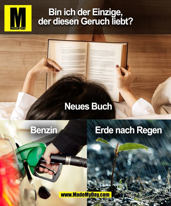 Bin ich der Einzige,<br />
der diesen Geruch liebt? (BILD)