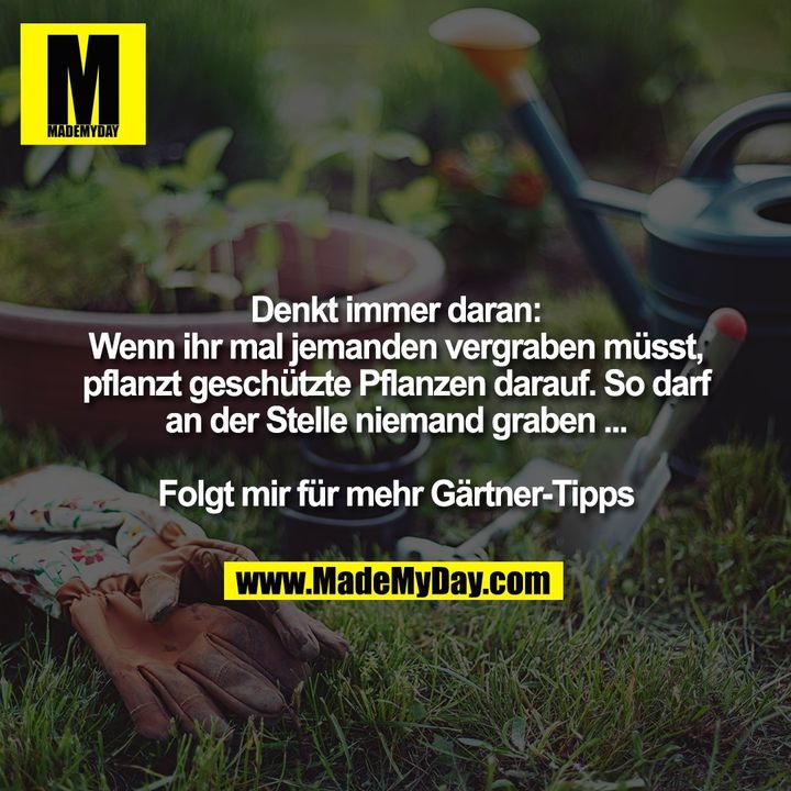 Denkt immer daran: Wenn ihr mal jemanden vergraben müsst, pflanzt geschützte Pflanzen darauf. So darf an der Stelle niemand graben ...<br />
<br />
Folgt mir für mehr Gärtner-Tipps