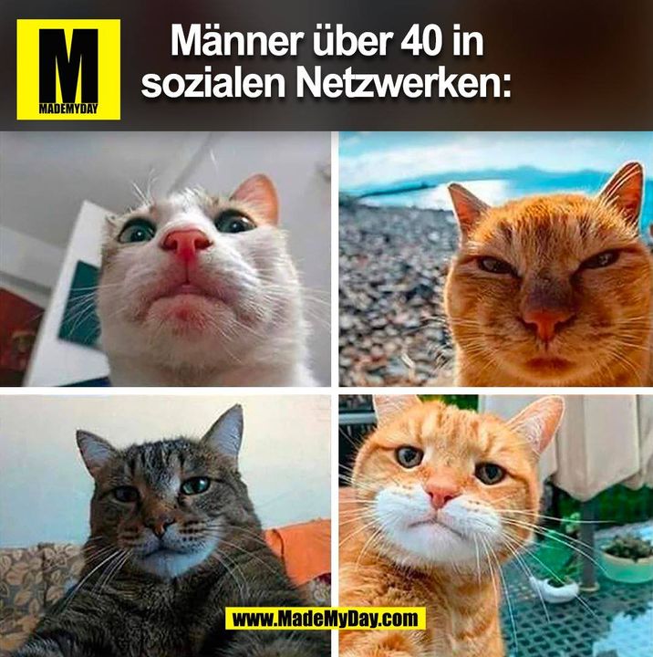 Männer über 40 in sozialen Netzwerken: (BILD)