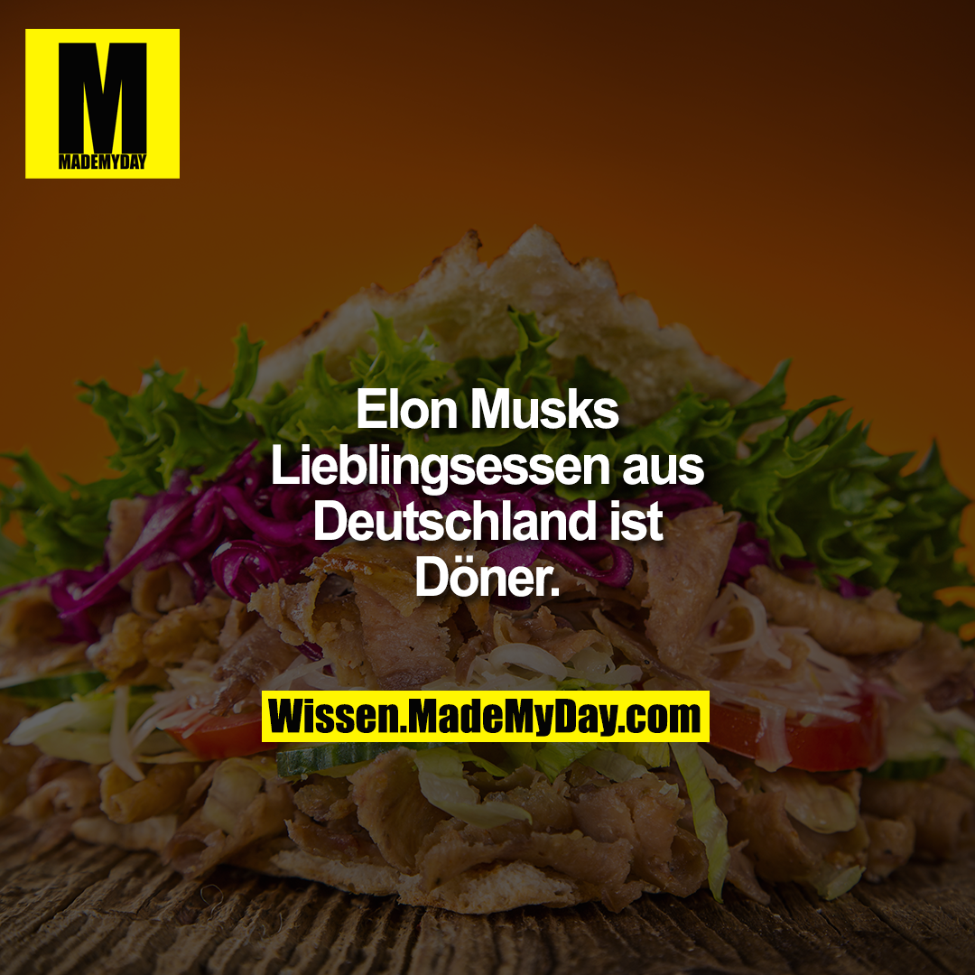 Elon Musks Lieblingsessen aus Deutschland ist Döner.