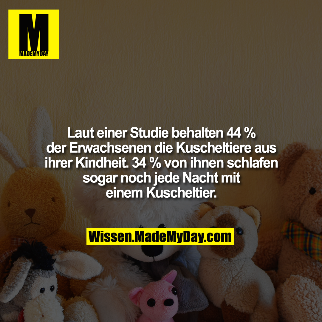 Laut einer Studie behalten 44 % der Erwachsenen die Kuscheltiere aus ihrer Kindheit. 34 % von ihnen schlafen sogar noch jede Nacht mit einem Kuscheltier.