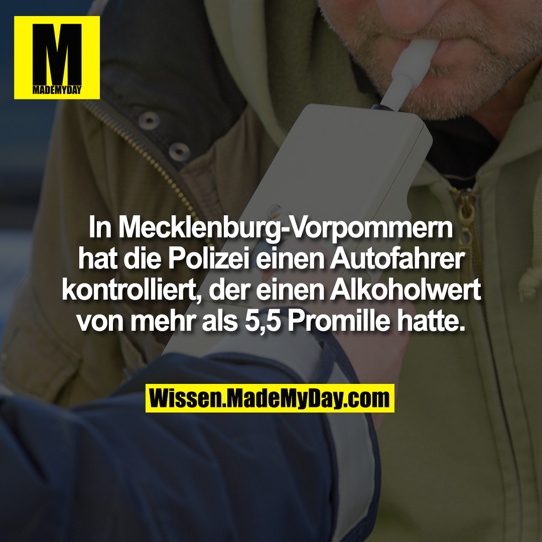 In Mecklenburg-Vorpommern hat die Polizei einen Autofahrer kontrolliert, der einen Alkoholwert von mehr als 5,5 Promille hatte.