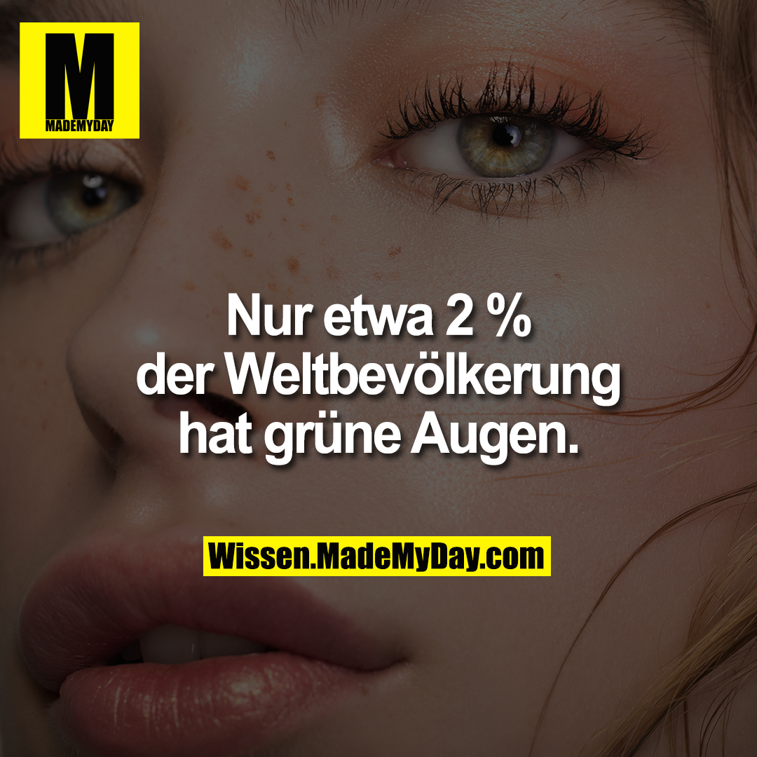 Nur etwa 2 % der Weltbevölkerung hat grüne Augen.