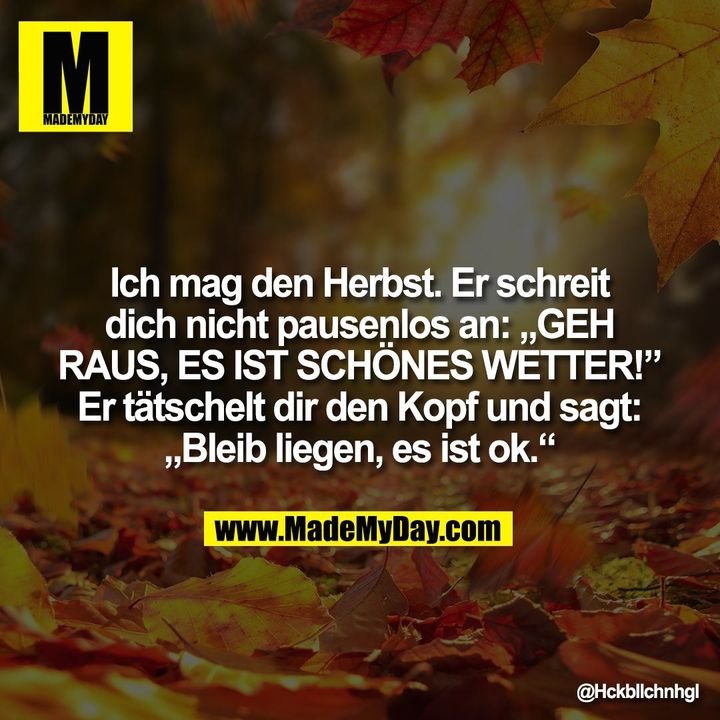 Ich mag den Herbst. Er schreit dich nicht pausenlos an: „GEH RAUS, ES IST SCHÖNES WETTER!” Er tätschelt dir den Kopf und sagt: „Bleib liegen, es ist ok.“