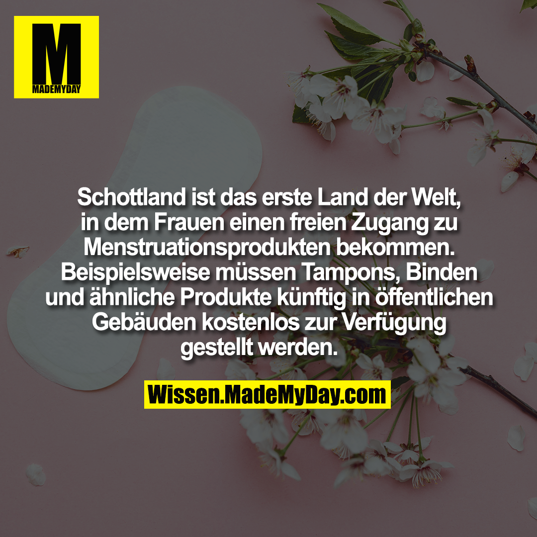 Schottland ist das erste Land der Welt, in dem Frauen einen freien Zugang zu Menstruationsprodukten bekommen. Beispielsweise müssen Tampons, Binden und ähnliche Produkte künftig in öffentlichen Gebäuden kostenlos zur Verfügung gestellt werden.