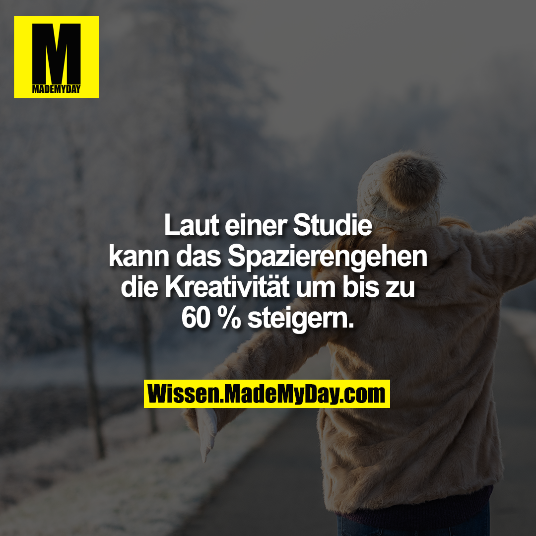 Laut einer Studie kann das Spazierengehen die Kreativität um bis zu 60 % steigern.