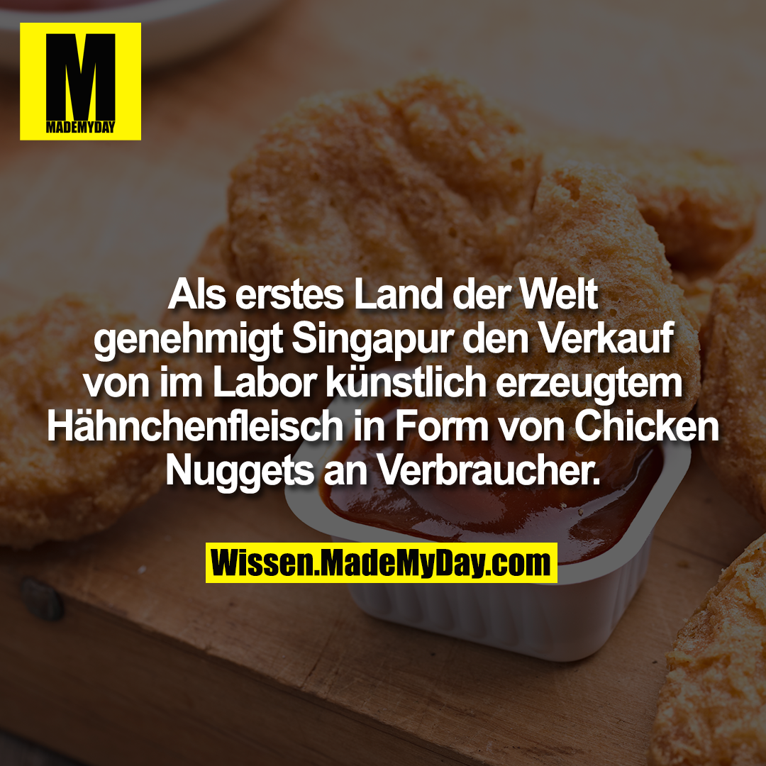 Als erstes Land der Welt genehmigt Singapur den Verkauf von im Labor künstlich erzeugtem Hähnchenfleisch in Form von Chicken Nuggets an Verbraucher.